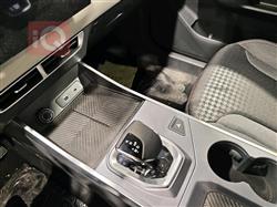 جیتۆر داشينگ